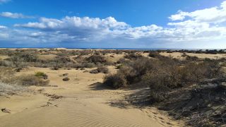 2023-GC-Dunas_Maspalomas-059.jpg